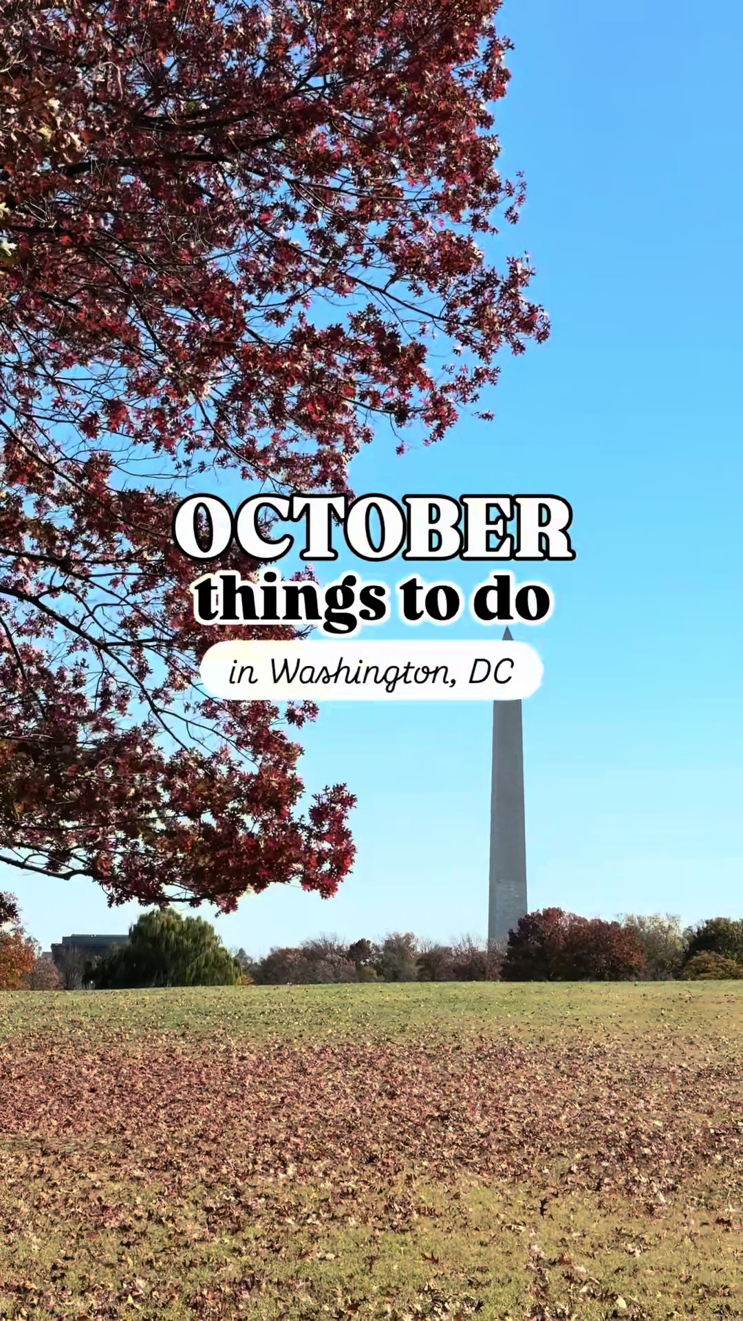 @Visit Washington, DC