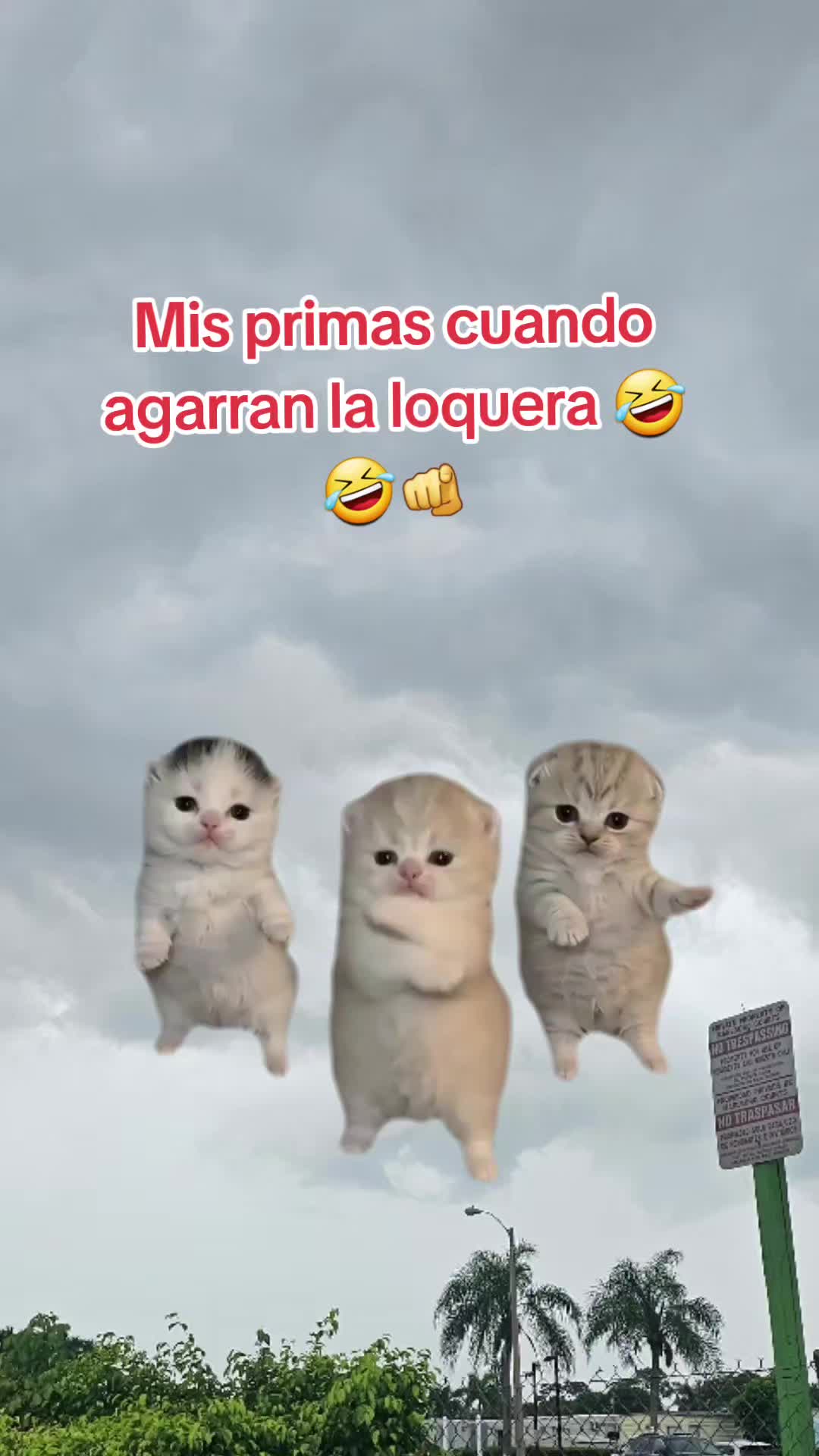 @Gabrielito 502