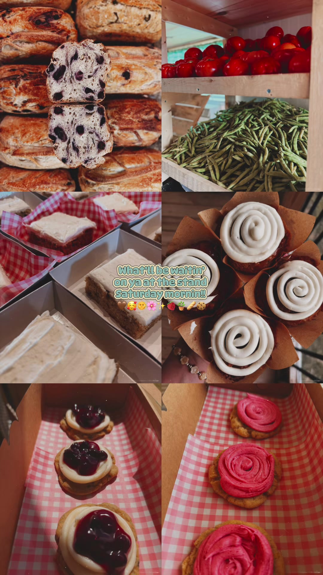 @Deanna 🧺👩🏻&zwj;🌾 &bull;Farmstander&bull;