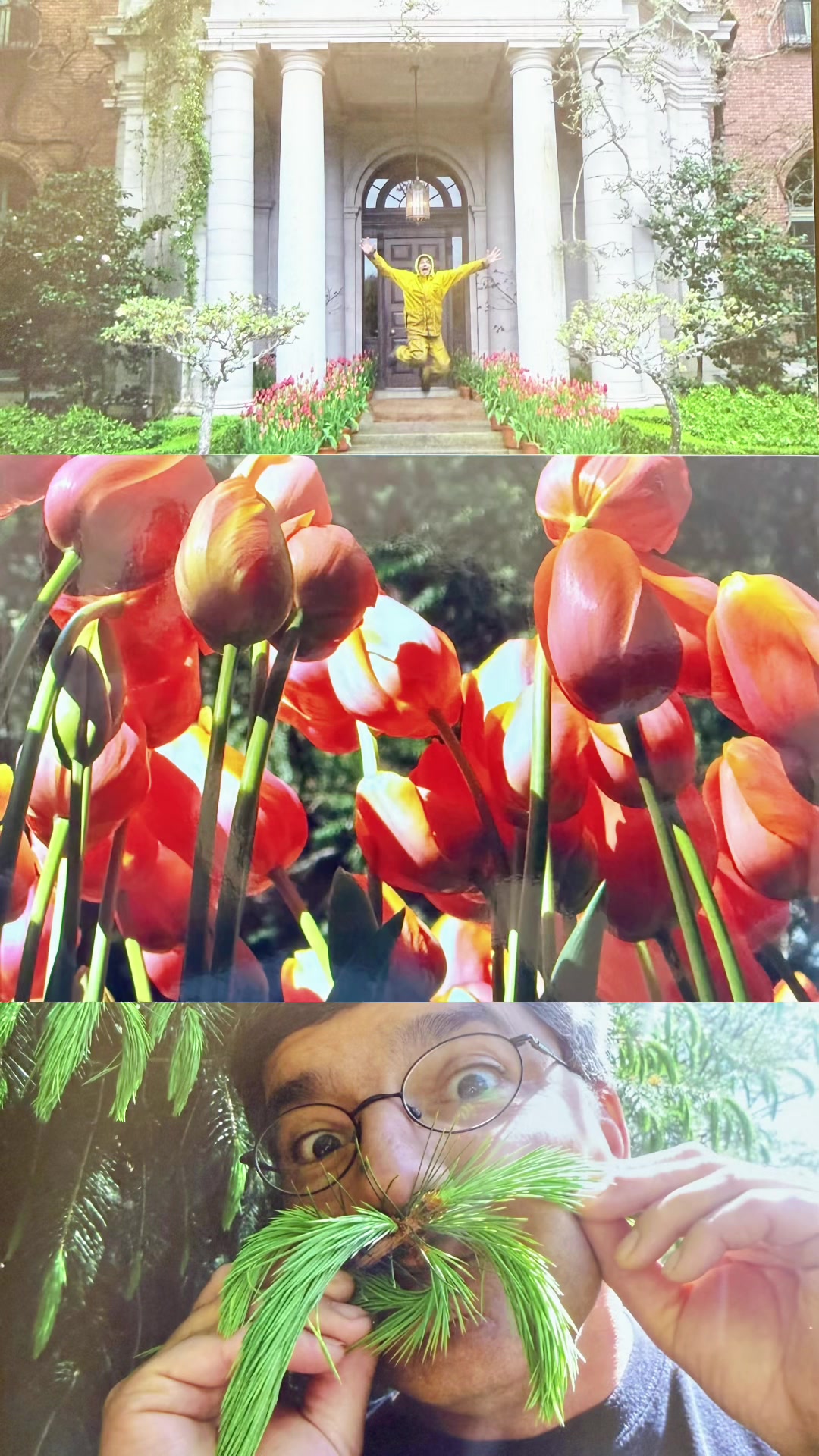 @Filoli