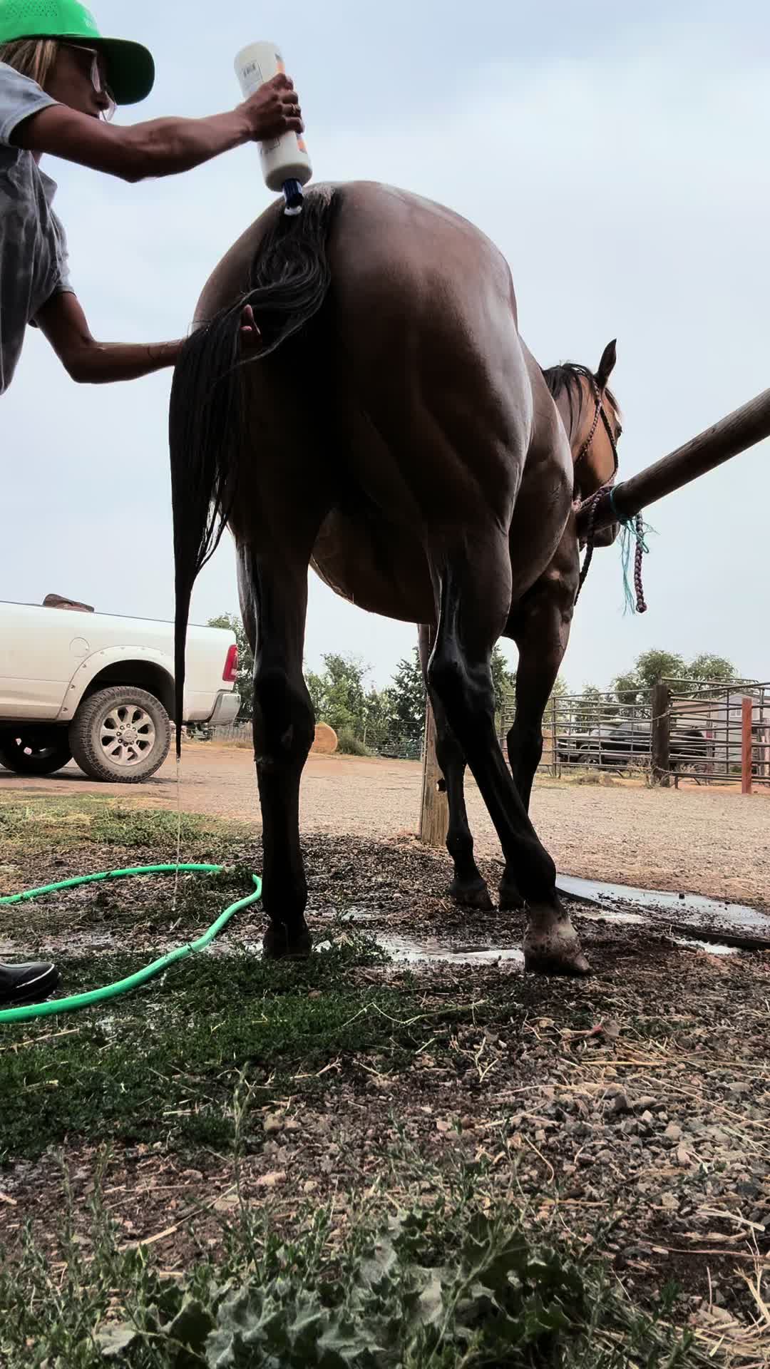 @Cowgirl Tuff Colt Training ❤️