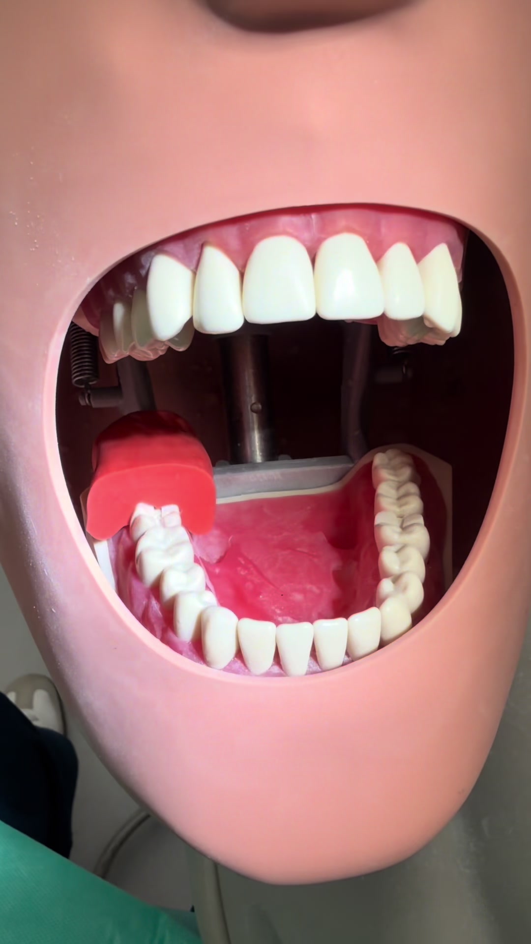 @Catherine | Dental Student 🦷