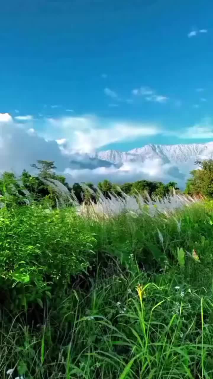 @Yamy 🦋