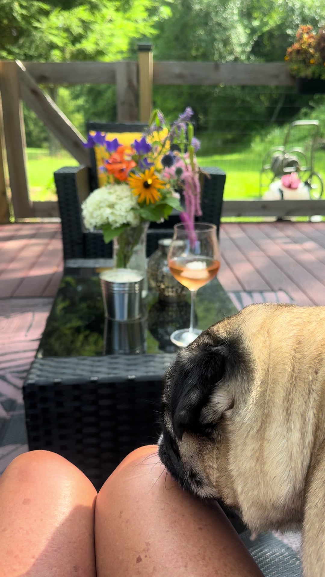 @thepugfang