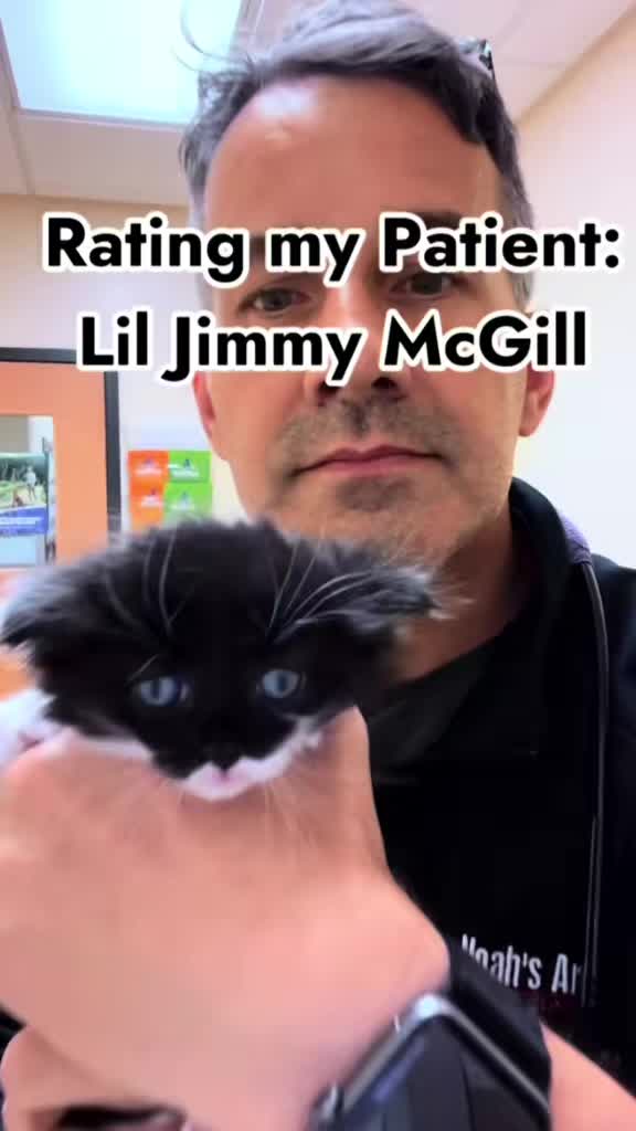 @Matt McGlasson, DVM
