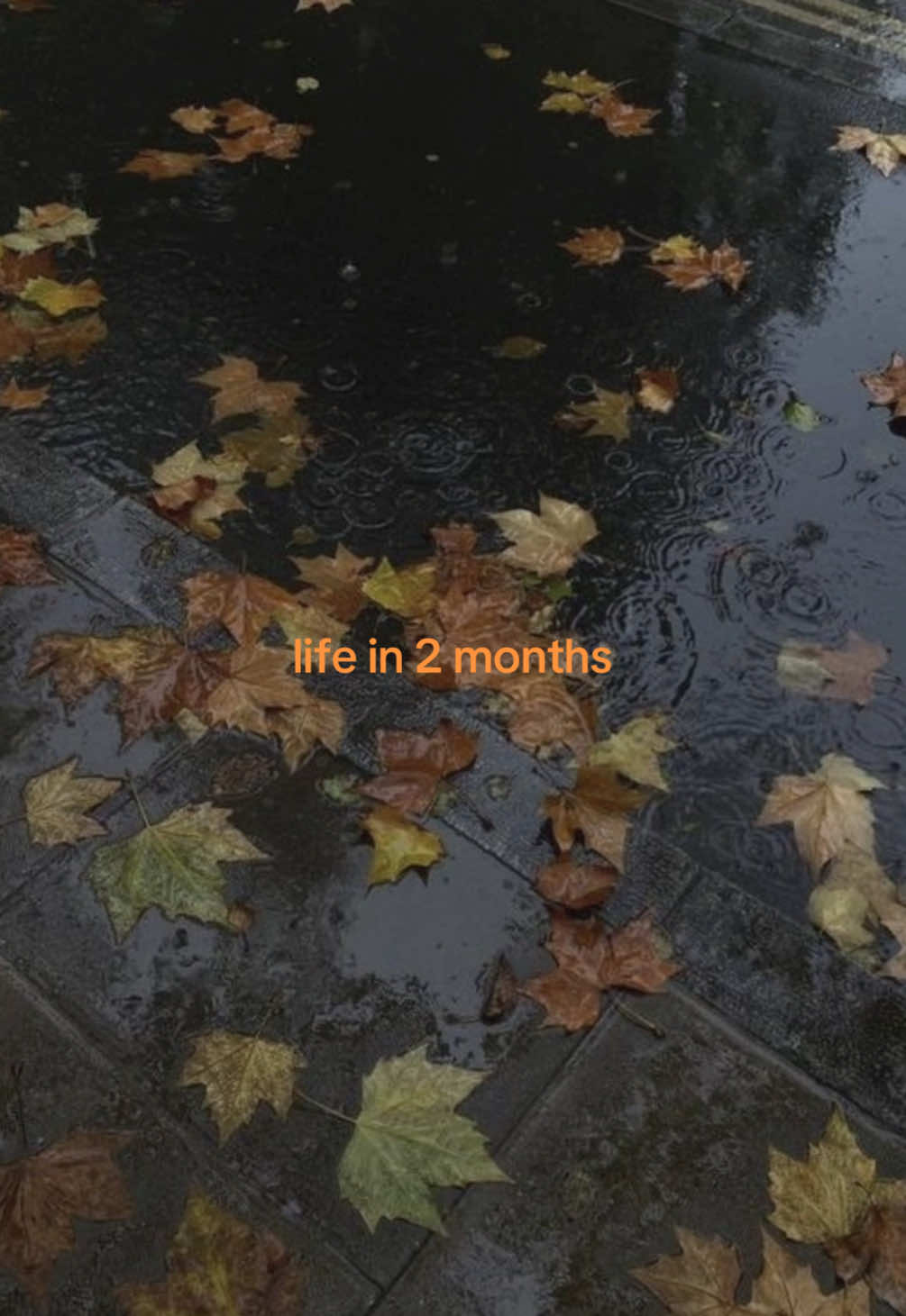 @spookyseasonftw