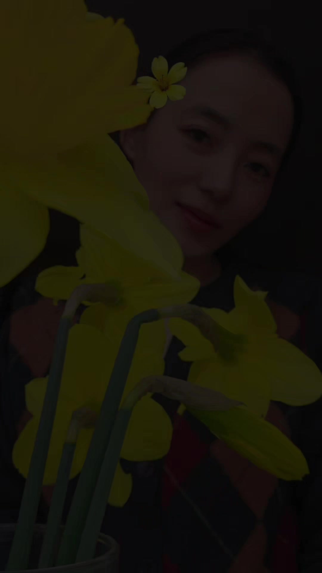 @Shine