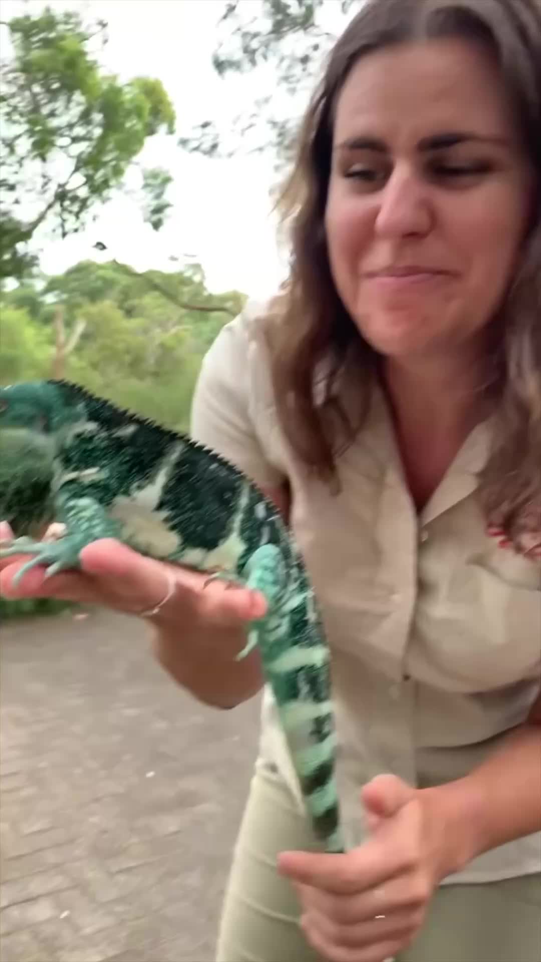 @The Reptile Zoo