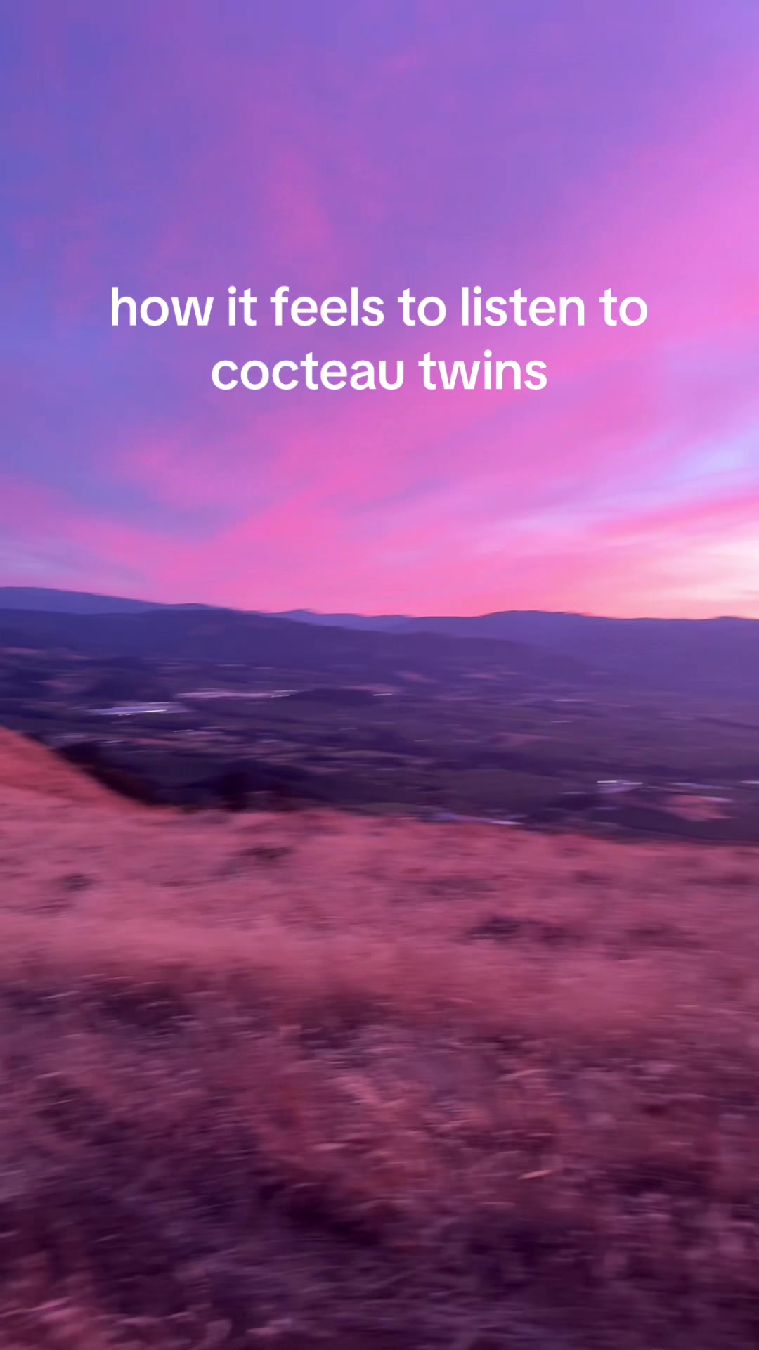 @ilovecocteautwins.com