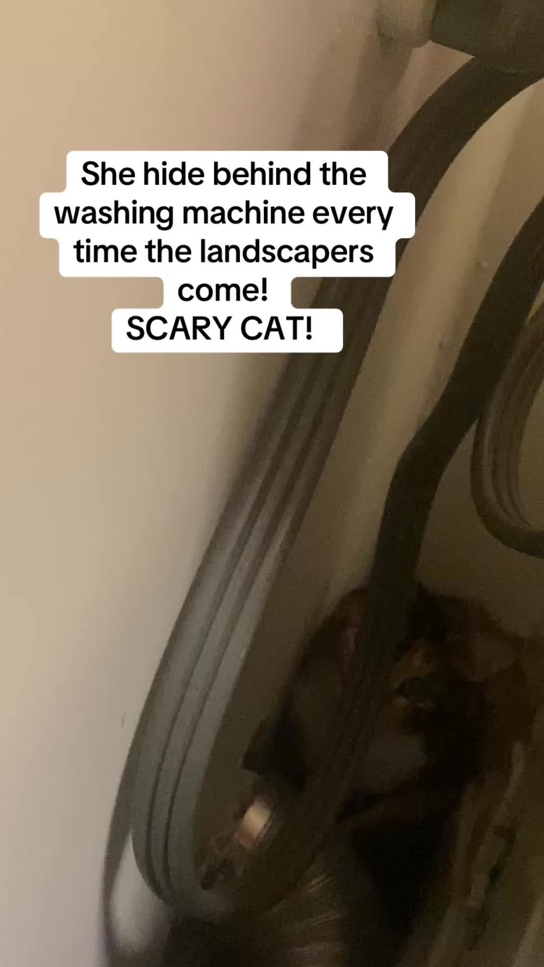 @Rholog
