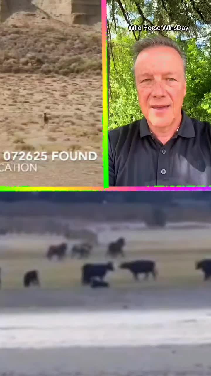 @advocate4animals