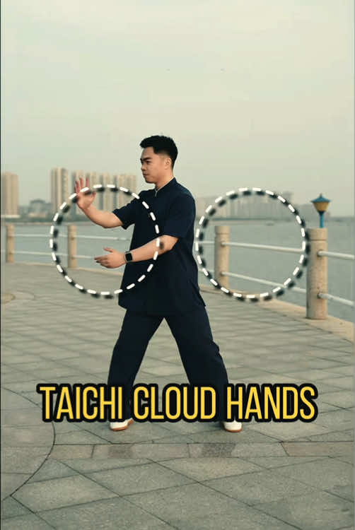 @taichituan