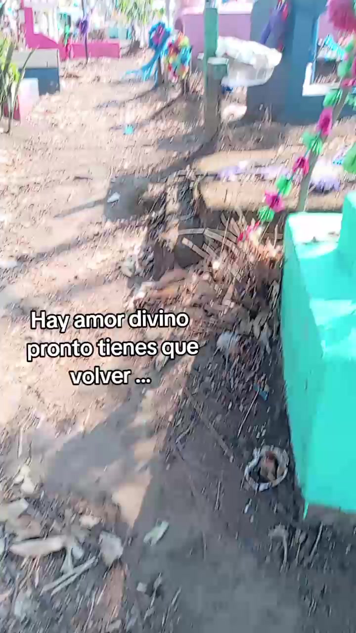 @Gabi ᥫ᭡