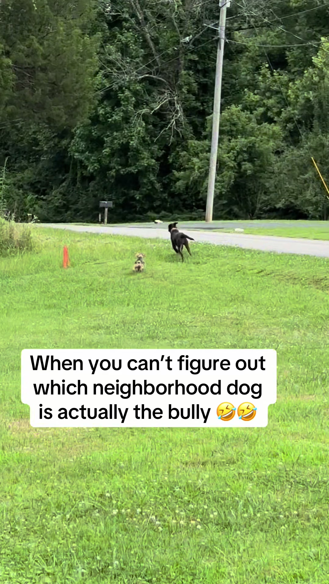 @Tammy P