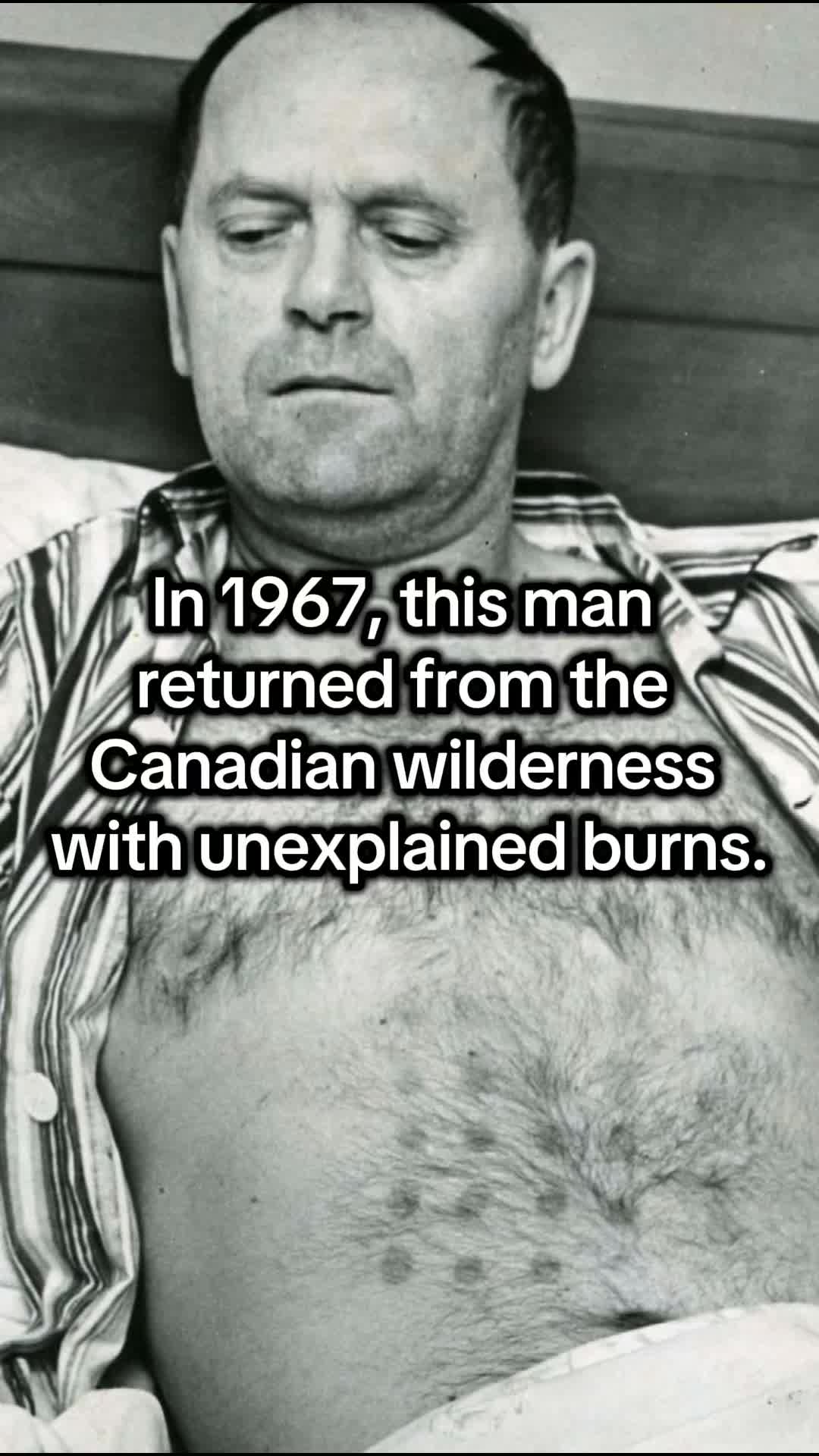 @projectnonhuman