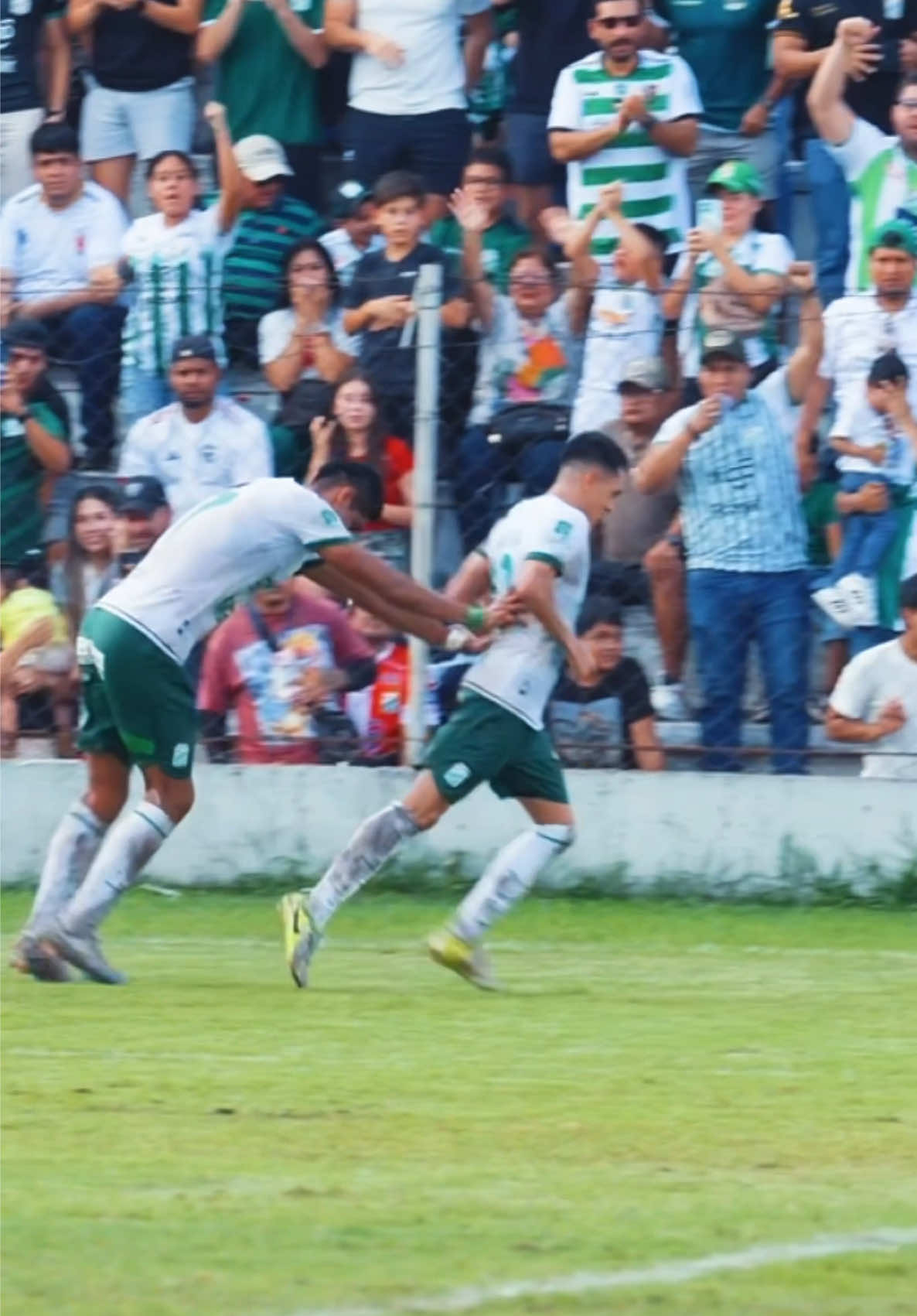 @limon.rec