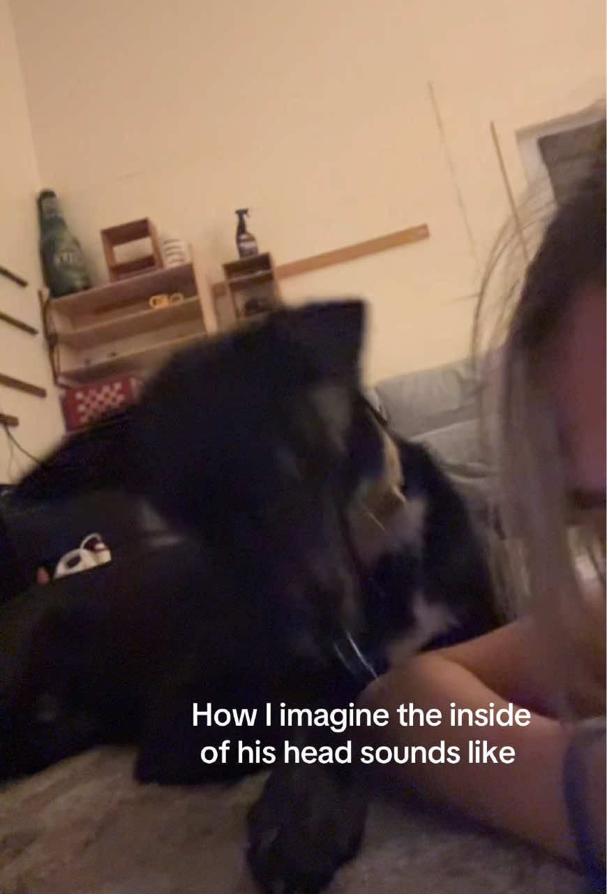 @kenzz