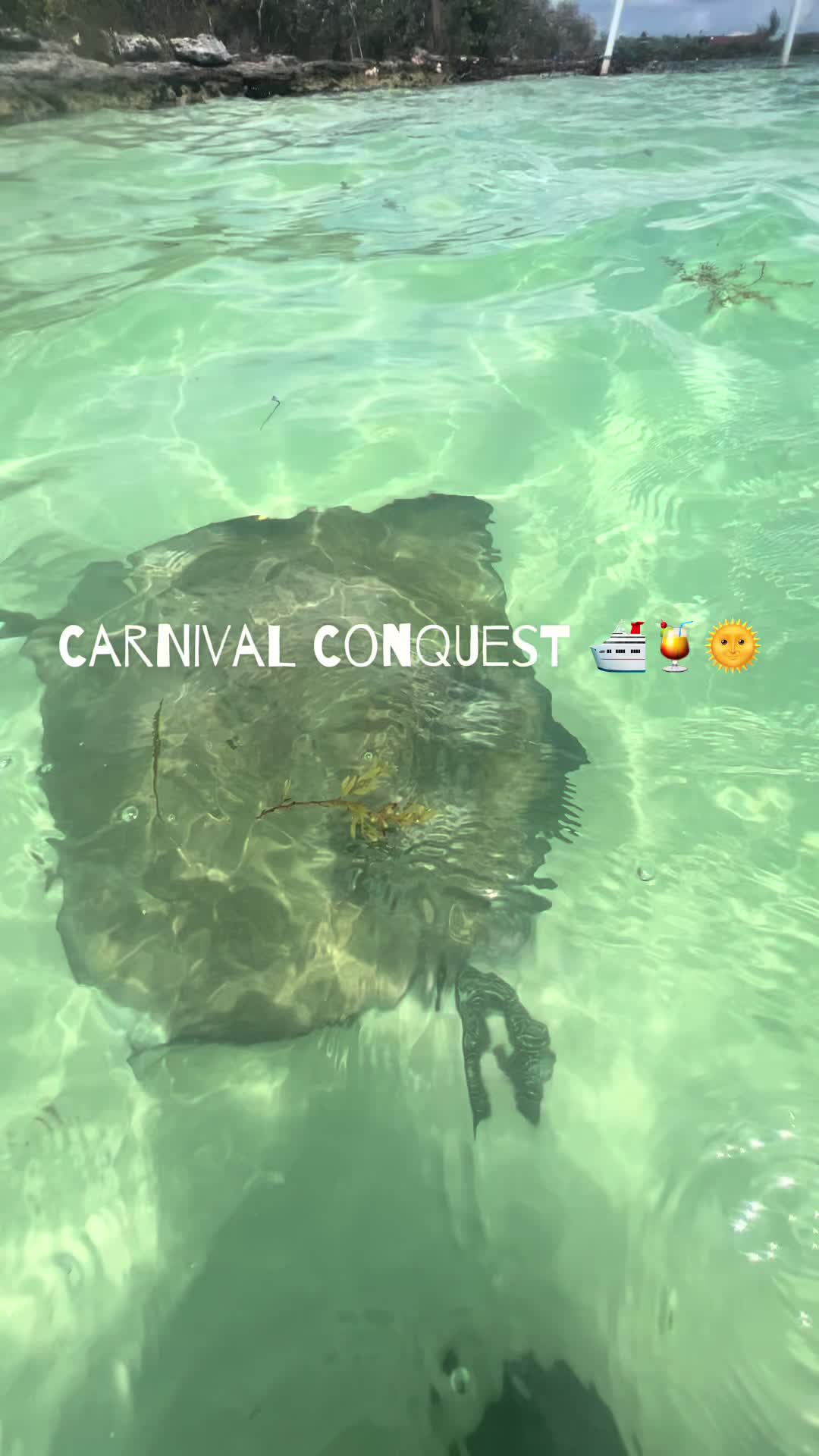 @Ki