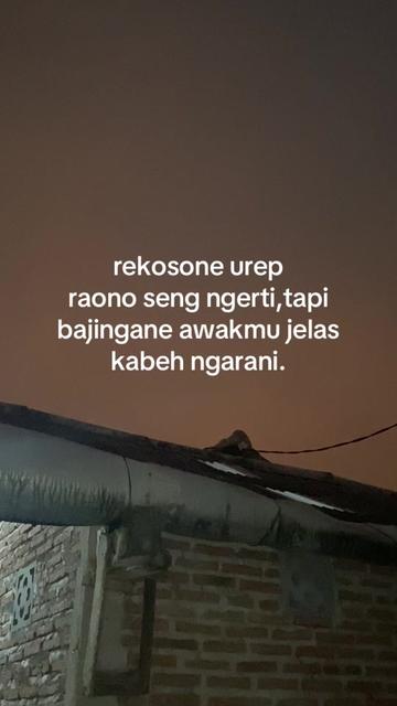 @ternosontek⚡