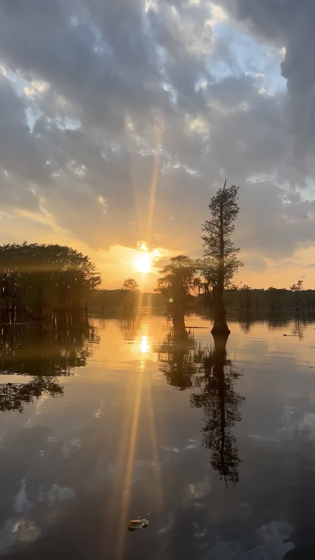 @Caddo Lake FirstCastCabin