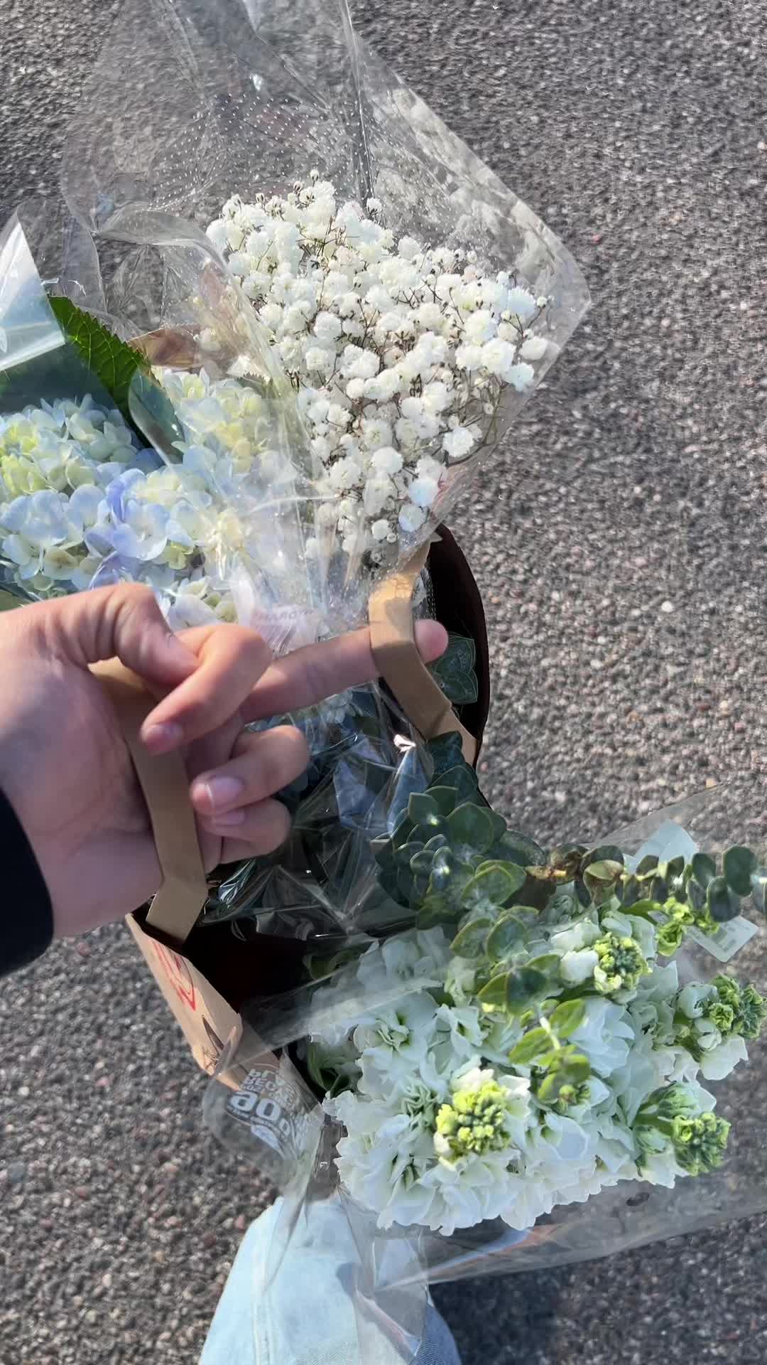 @3cvo