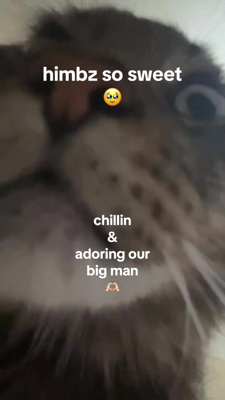 @backburnerthts