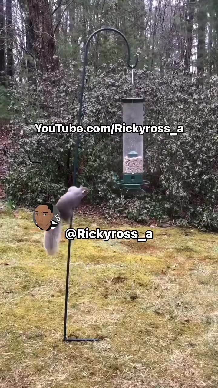 @Rickyross_a