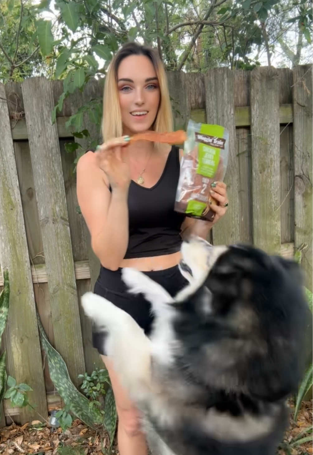 @theshellc