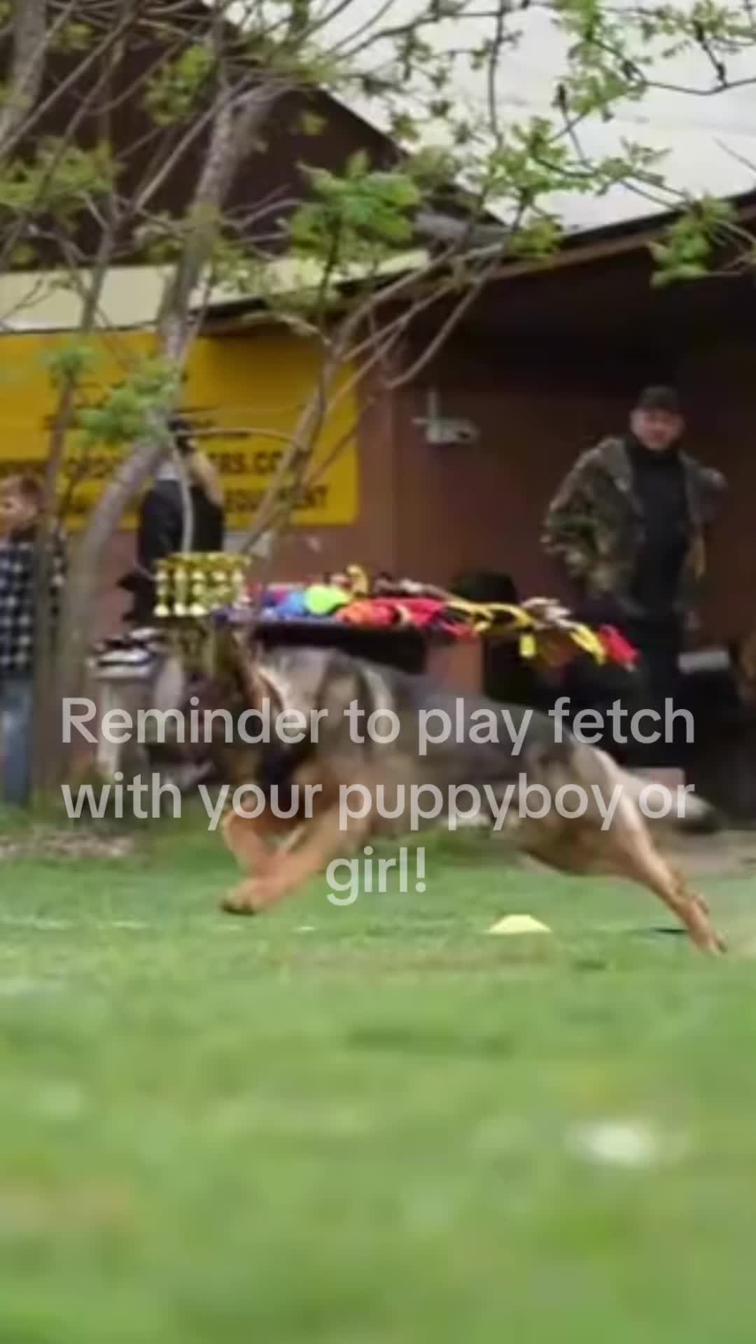 @mimi🐾