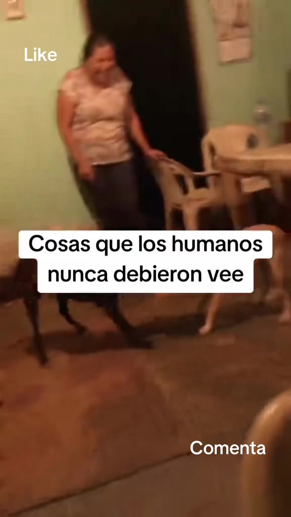 @Cuentos de Terror