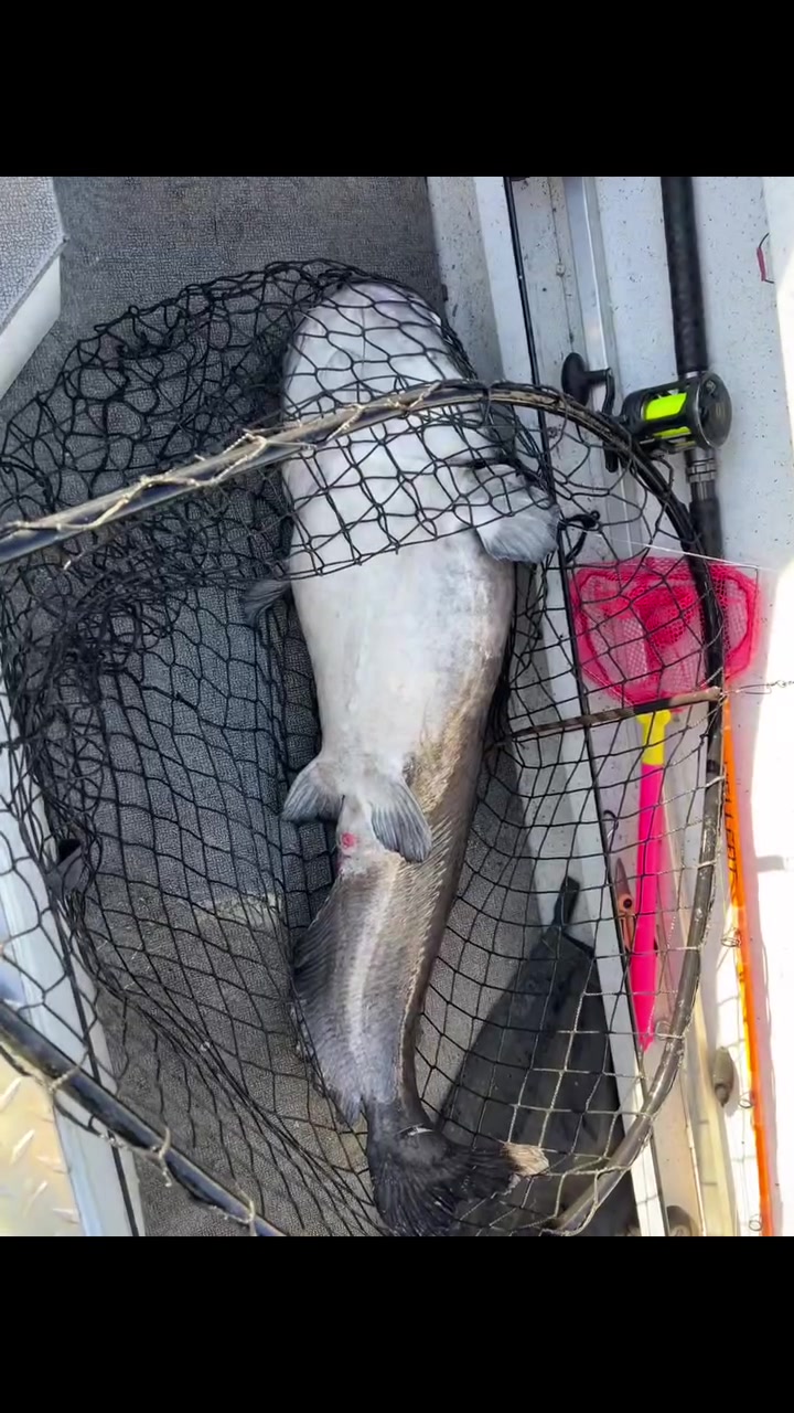 @Grassy Island Charters