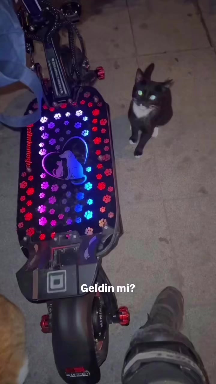@Salim Kuntoğlu