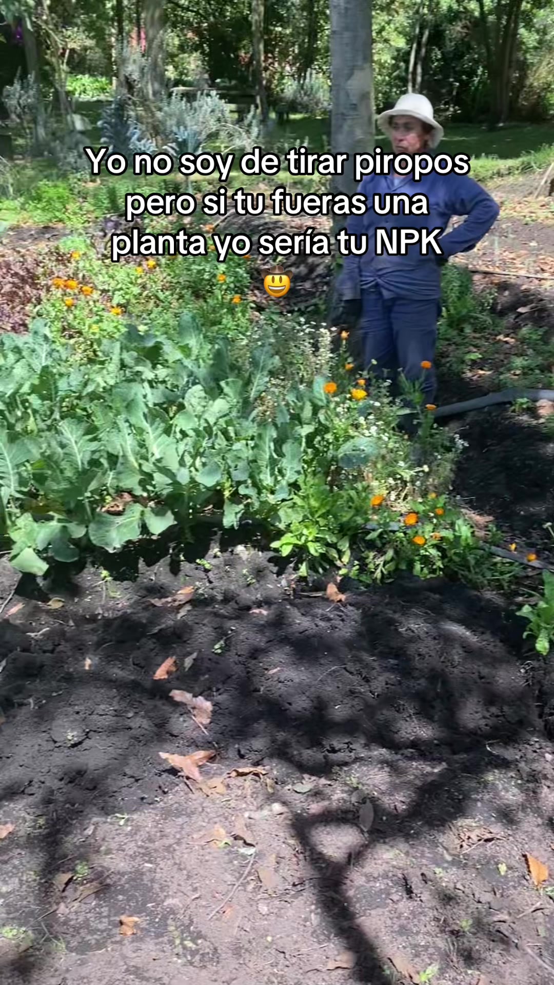 @Juan Felipe G 🧑🏻&zwj;🌾