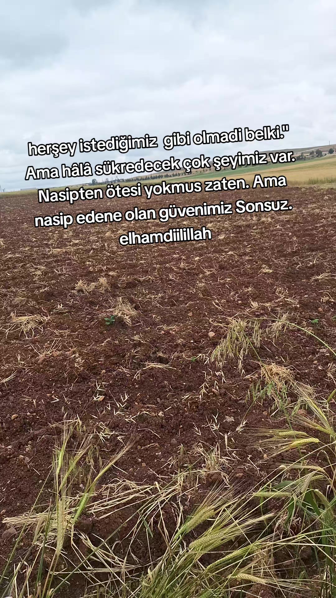 @Bet&uuml;l Halil sağ