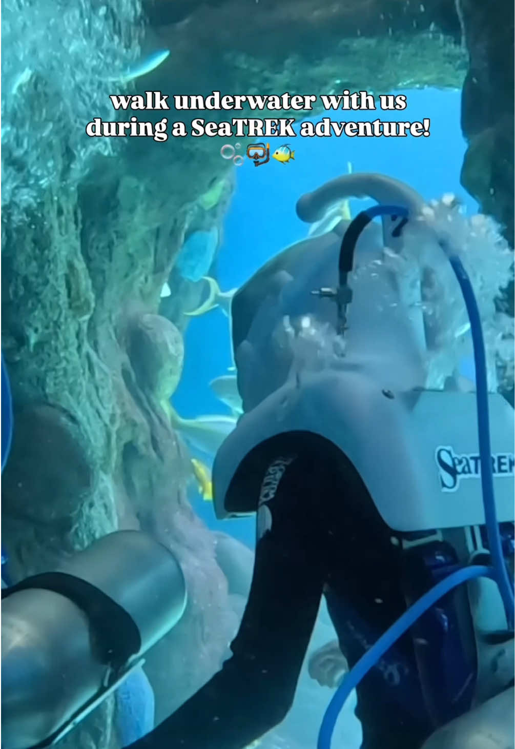 @The Florida Aquarium