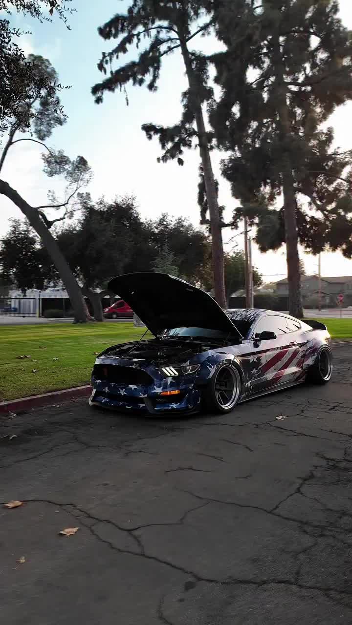 @TopTierMustang