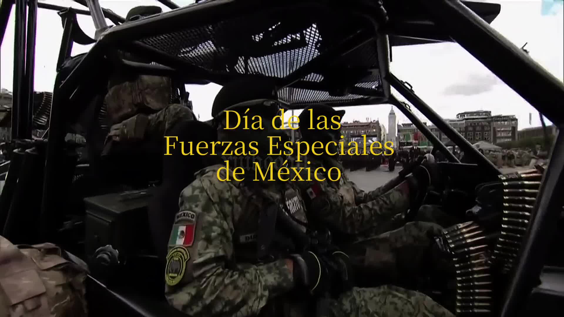 @Forxez