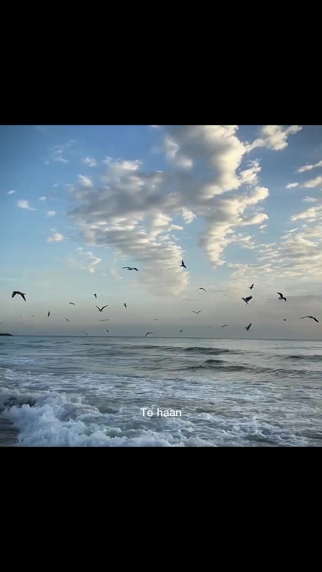 @𝐍𝐎𝐎𝐑-𝐁𝐔𝐓𝐓