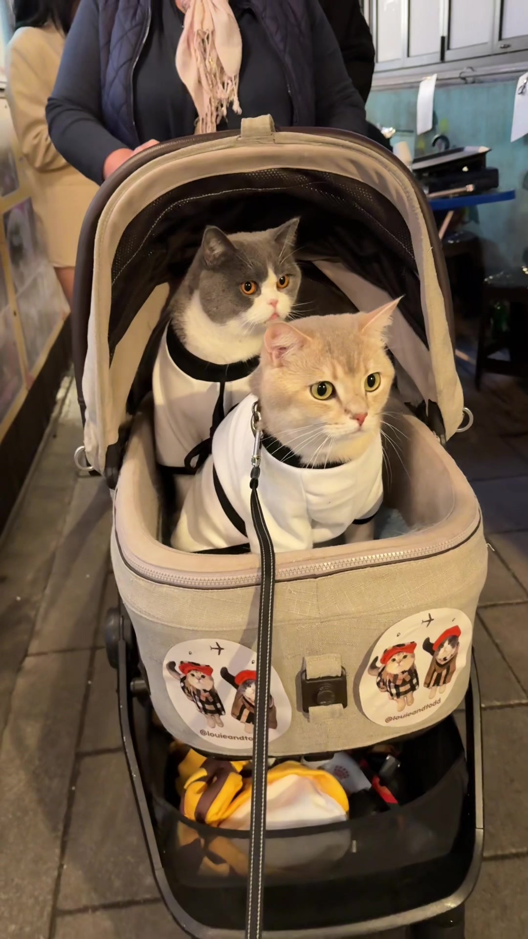 @Prince Louie 🦁 & Todd 🐼
