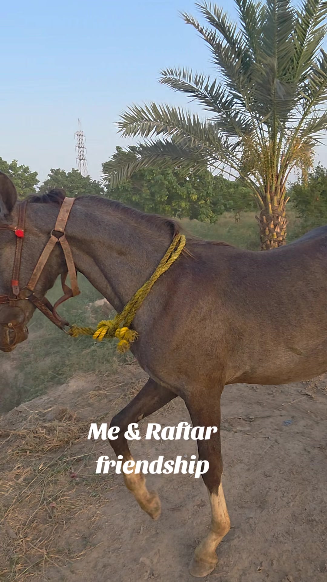 @_Muhammad Riaz Beryar_