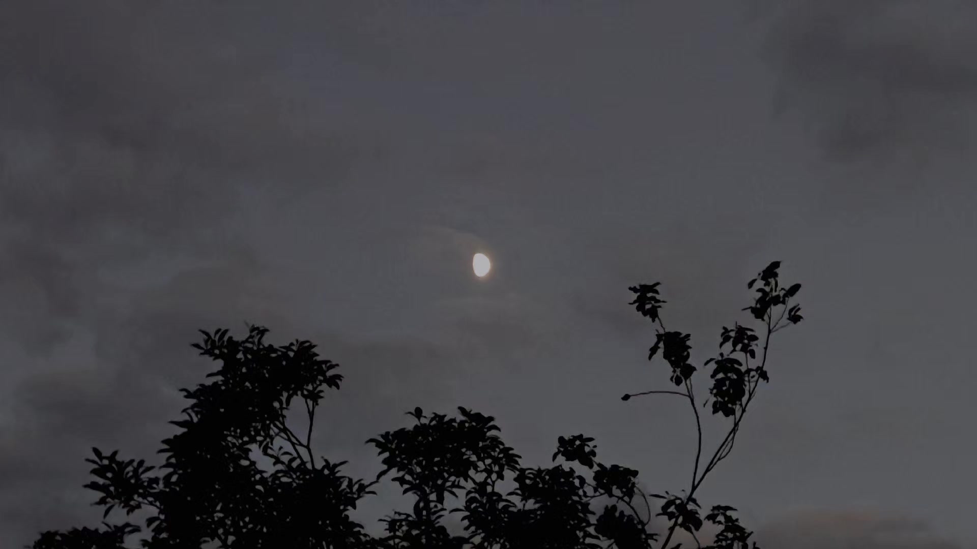 @кирилл