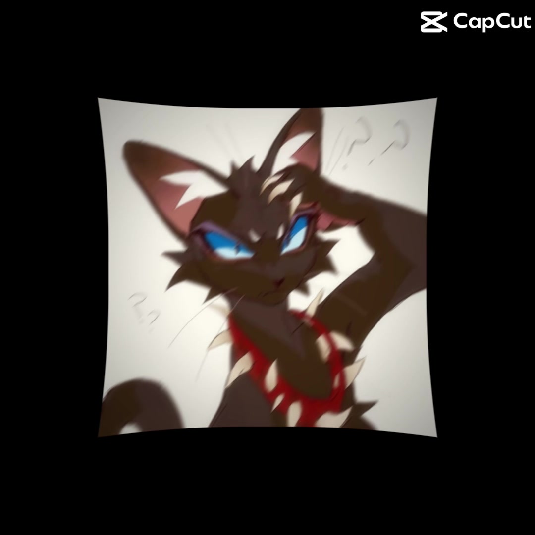 @🎀✨WarriorCatAddict✨🎀