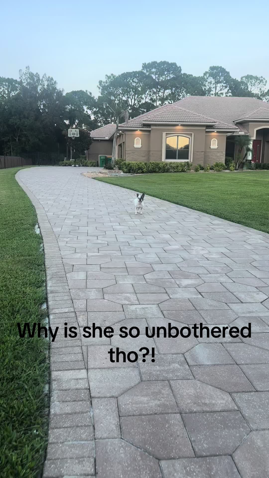 @Robin G