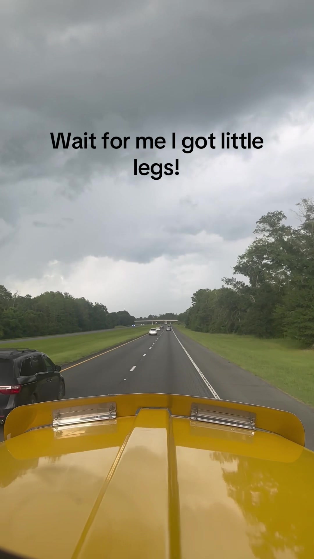 @Mullet