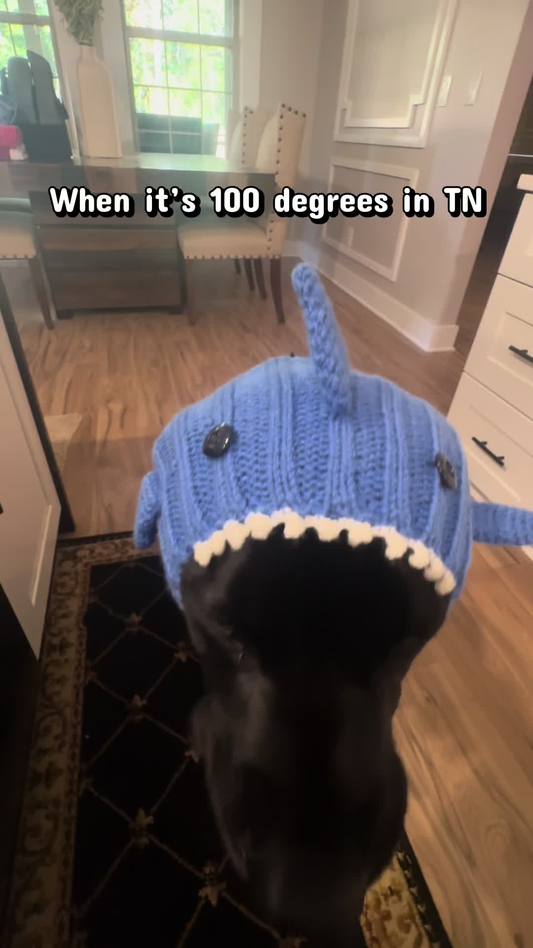 @HankTheTank