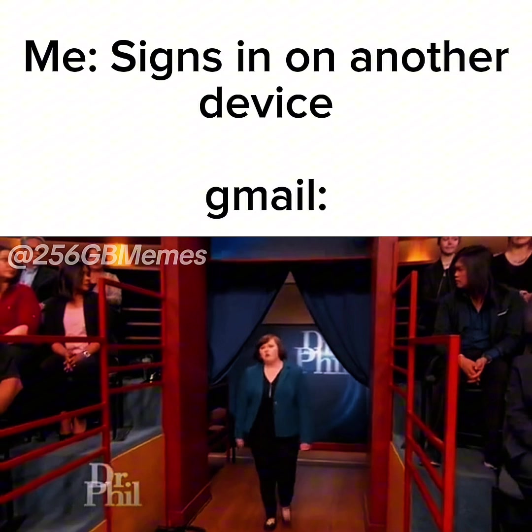 @Cat Memes