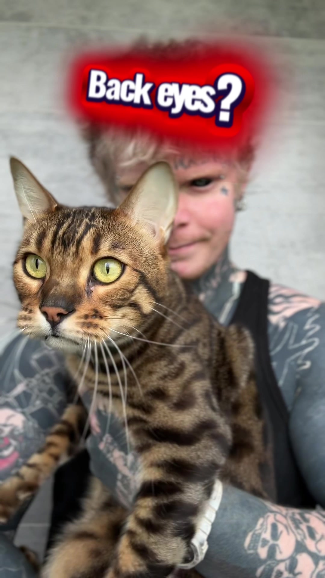 @DIS_tattoo_
