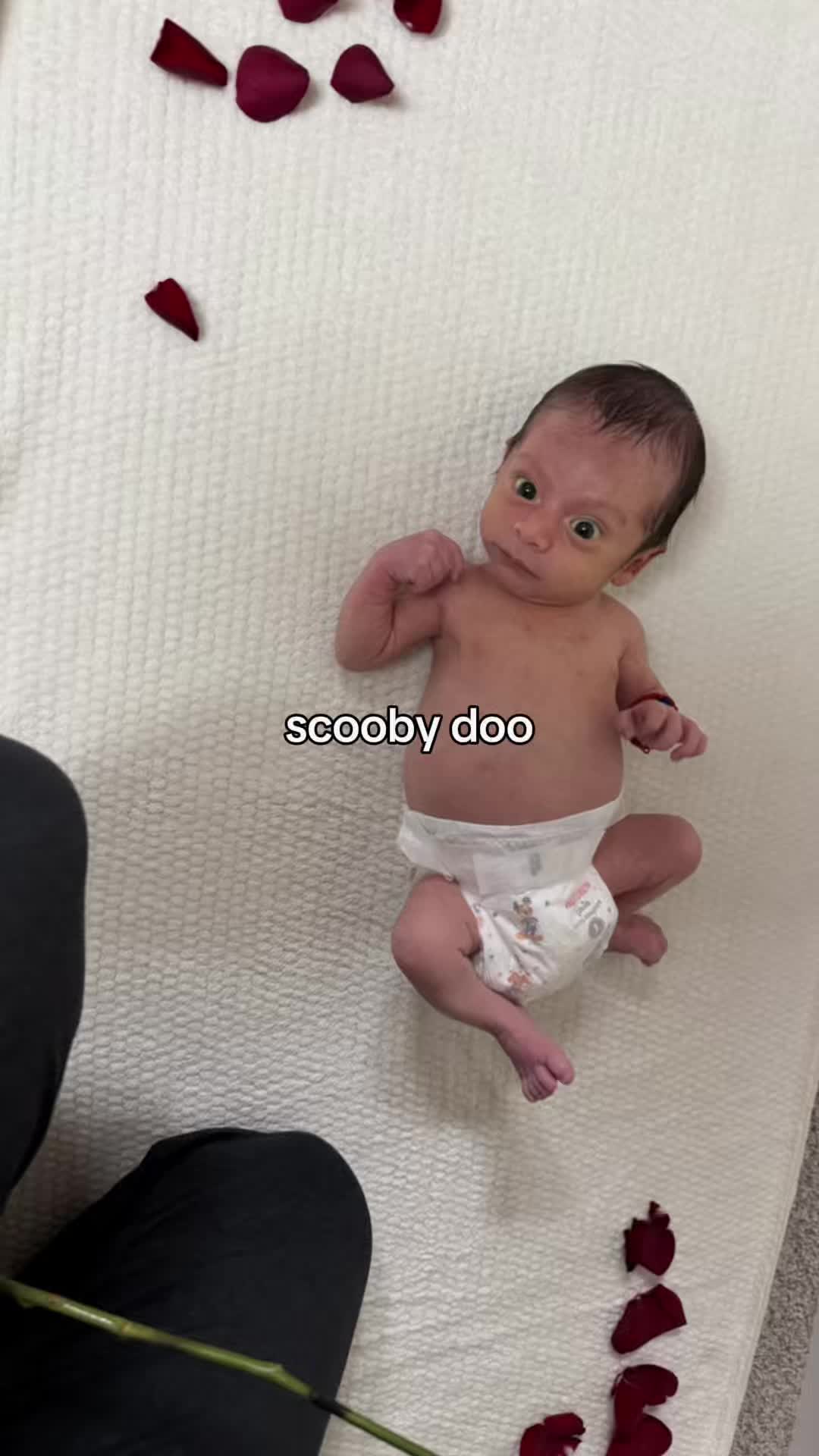 @jarling🧸🧸🇳🇮
