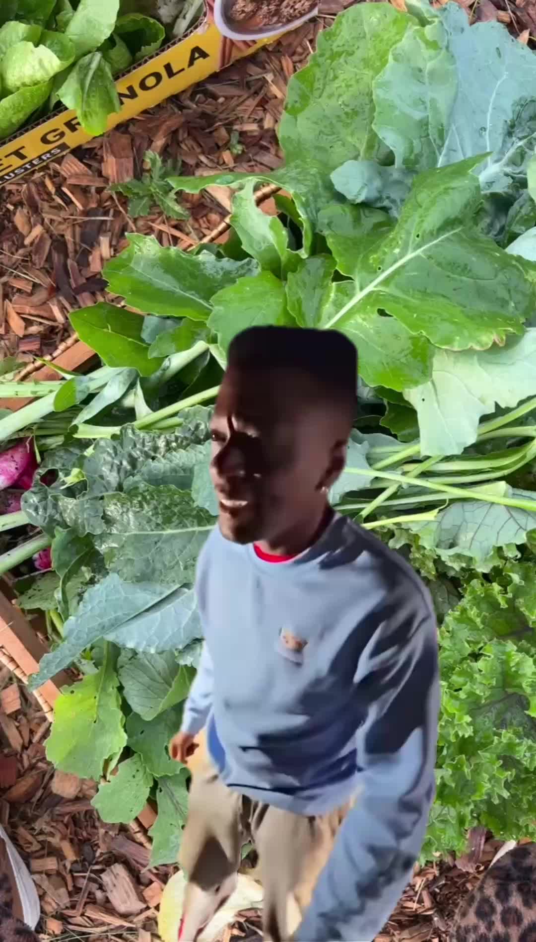 @greengirlgardens