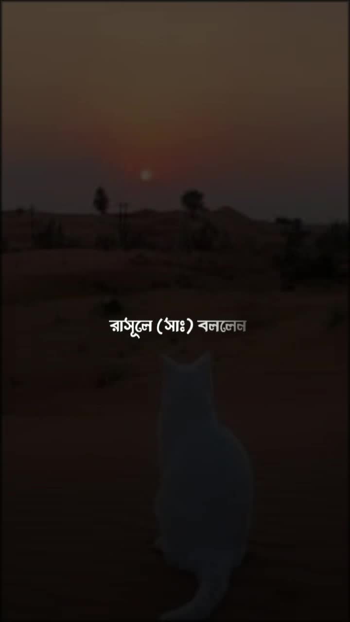 @আহমেদ ফয়সাল🇧🇩